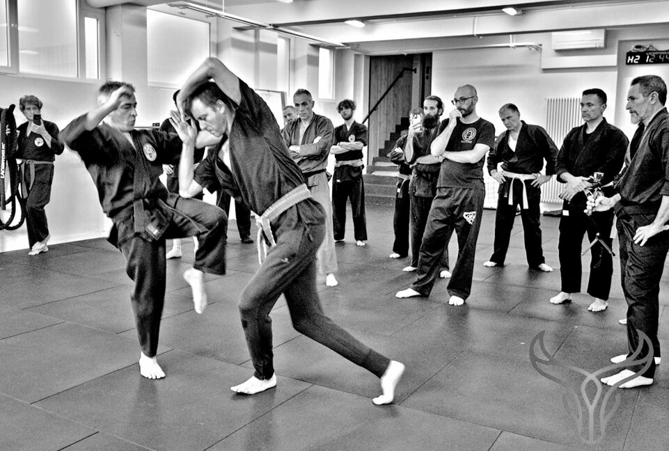 whatsapp image 2026-02-13 at 13.25.56.jpeg