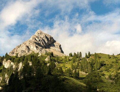 imgi_76_taramelli-carpella_3847