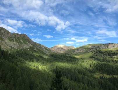 imgi_75_taramelli-valmonzonicimavallaccia6715