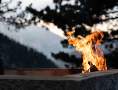 imgi_48_taramelli-fuoco-06840