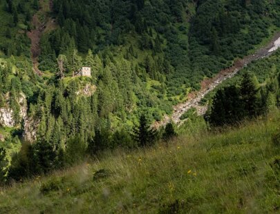 imgi_207_taramelli-luce-09117