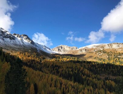 imgi_129_taramelli-valmonzonicimavallacciainautunno-7121