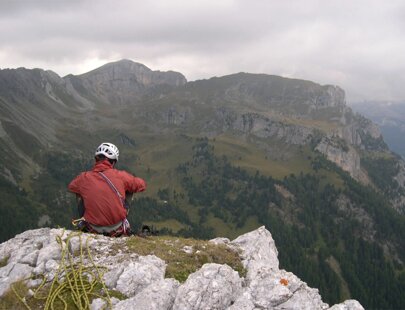 imgi_62_taramelli-cima