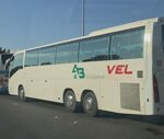 noleggio-autobus-da-16-a-84-posti
