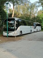 noleggio-autobus-da-16-a-84-posti