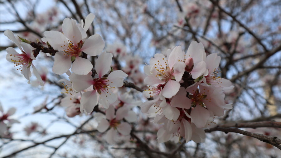 img_0309.jpeg