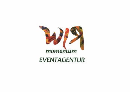 momentumlo.jpeg