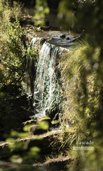 b80877bc46512829d7ae981a44dbba8ab38a24b0