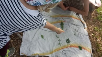 imgi_13_20180504_160501 (1).jpeg