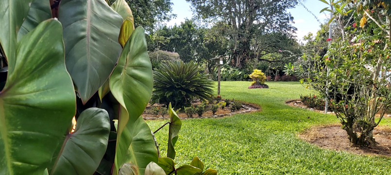 bolsora hotel boutique en la tebaida 2