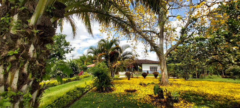 bolsora hotel boutique en la tebaida 3