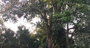 img_7991.jpeg