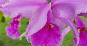 img_20220716_132342.jpeg