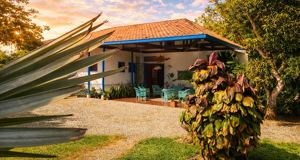 balsora%20hotel%202.jpeg