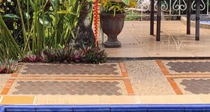 img_20220725_175153.jpeg