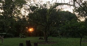 img_20220311_182133.jpeg