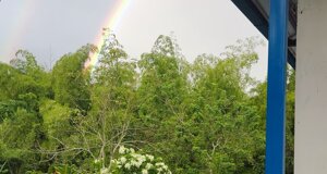img_20220825_094433.jpeg