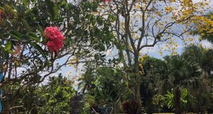 img_20230521_180746.jpeg