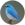 azulejo