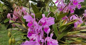 img_20221108_084949.jpeg