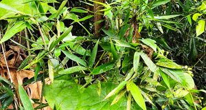 img_20221108_085132.jpeg
