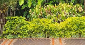 img_20230823_073815.jpeg