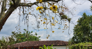 img_20220607_141201.jpeg