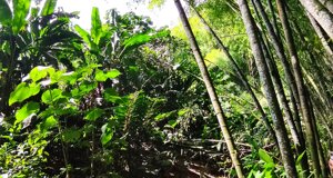 img_7985.jpeg