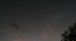 img_8029.jpeg