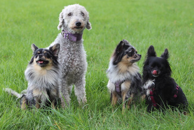 cc8234e1807bcbeecafa83123d74088b2f6e1fb6