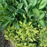 WhatsApp Image 2023-06-04 at 13.57.43.jpeg