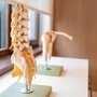 GELENKMODELLE IN DER PRAXIS VON HEALTH AND MOTION CHRISTOPH WENZEL