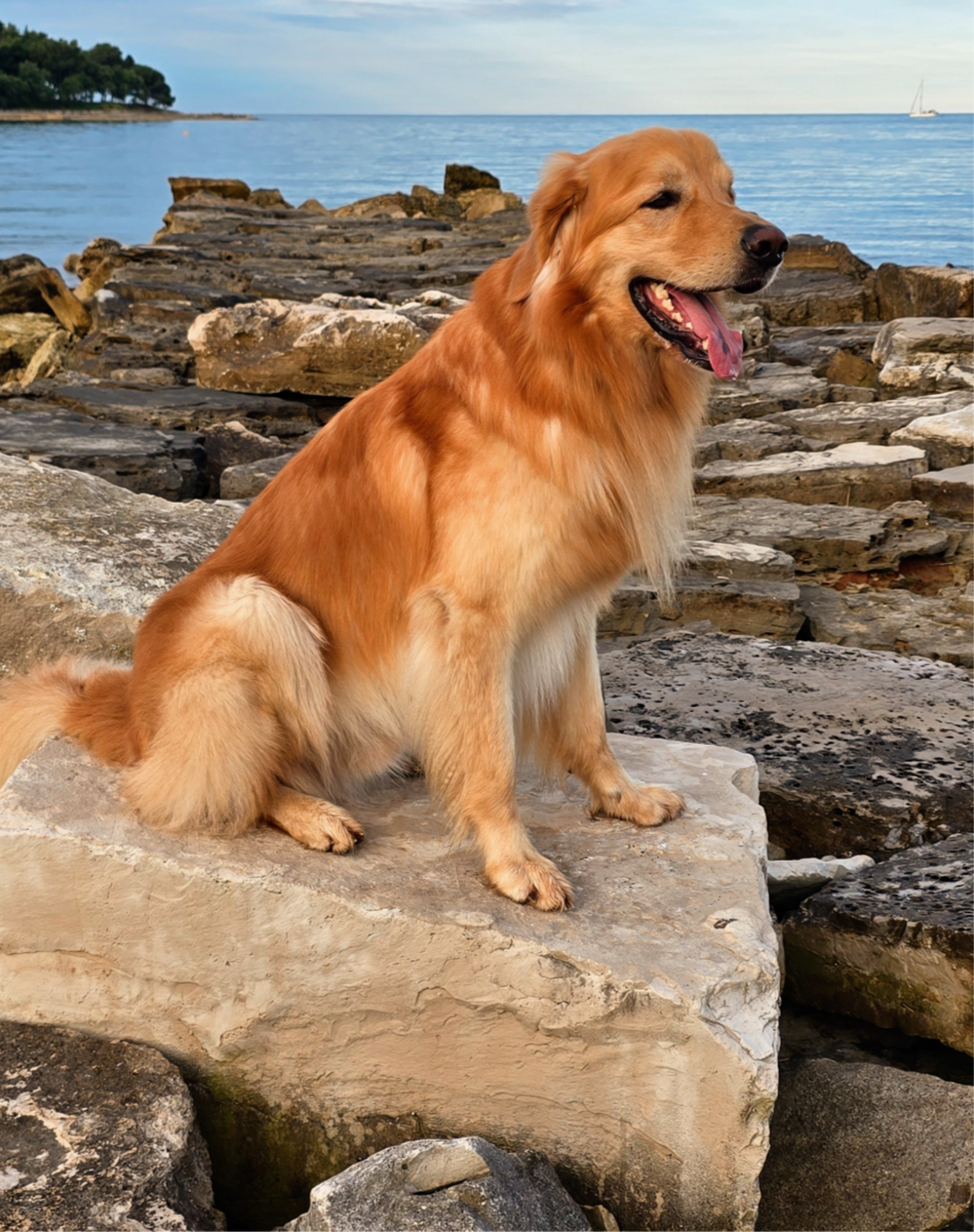 01967cffa7fc21df3751de0321d9ab602281f0ee