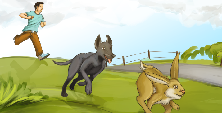 Antijagdtraining - Sinn oder Unsinn?