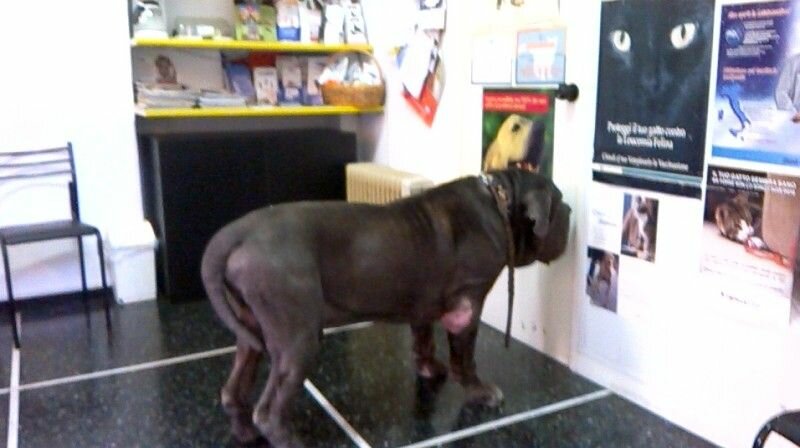 Un pomeriggio qualunque