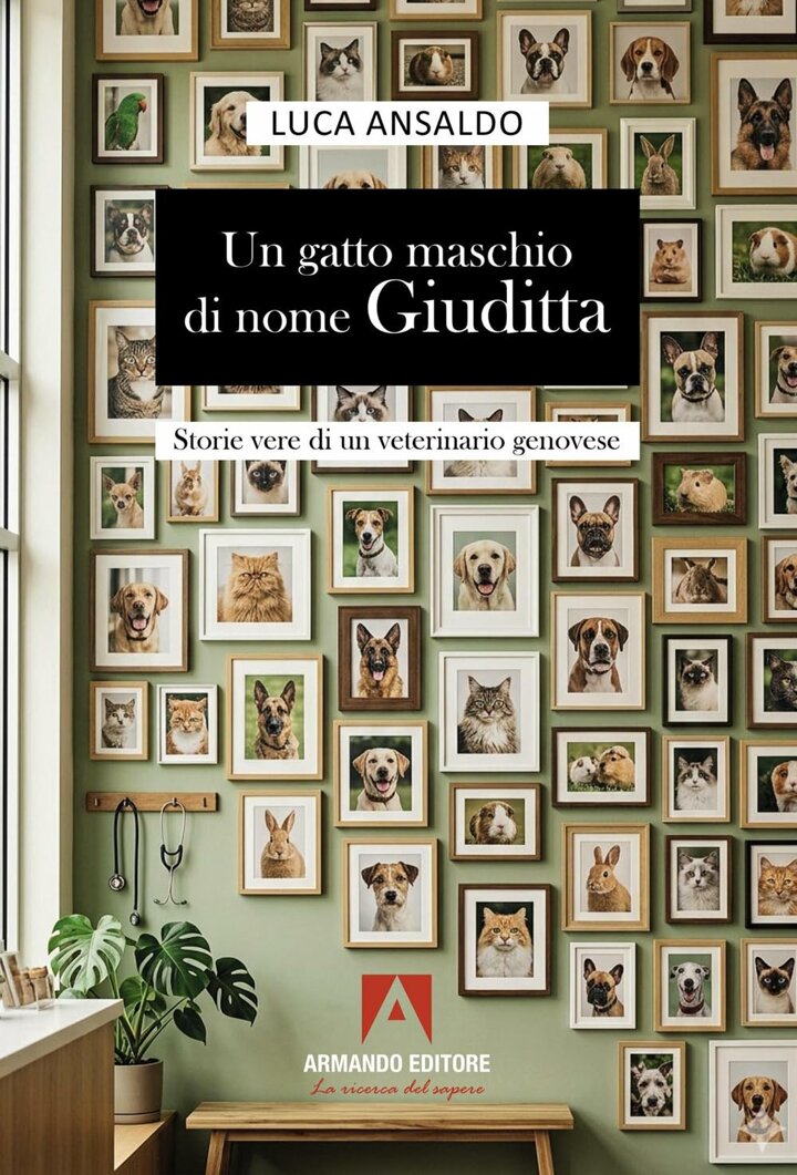 copertina libro ansaldo _ armando.jpeg