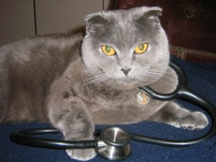 medicina preventiva img_2480-300x225.jpeg