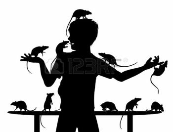 Spicchio e la Signora dei ratti