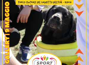 logo_sportinfamiglia.jpeg logo_sportinfamiglia.jpeg