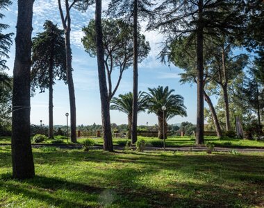 casadiriposo-esterno-bosco.jpeg