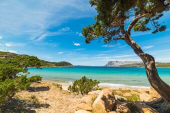 capo-coda-cavallo-mare.jpeg capo-coda-cavallo-mare.jpeg
