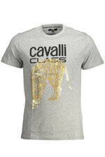 cavalli-class-t-shirt-uomo-grigio