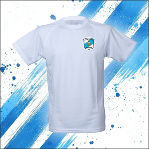 t-shirt-allenamento-estivo-cavarzere-calcio