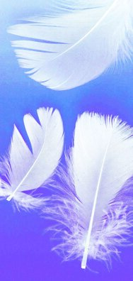 10326956432b4aa1f3d32fd6fa08a18418d05821