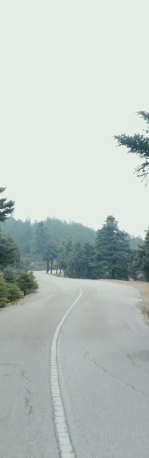 WANDERLUST