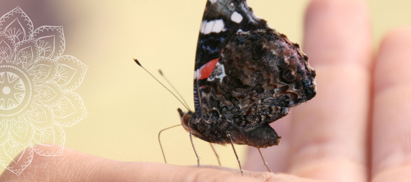 2c8b52dd7cd4aa621a8e00fc2996152b4f8db19d