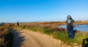 brindisitouring,%20naturetour,%20naturalistictour,%20buzzexperience,%20visitbrindisi,%20tourpuglia,%20toursalento%20(5).jpeg