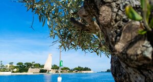 brindisitouring,%20brindisiexperience,%20buzzexperience,%20visitbrindisi,%20tourpuglia,%20toursalento,%20salentoexperience,%20pugliaexperience,%20panoramictour,%20tourpanoramico%20(10).jpeg
