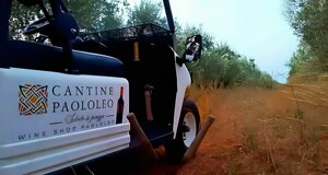 brindisitouring,%20brindisiexperience,%20salentoexperience,%20pugliaexperience,%20buzzexperience,%20toursalento,%20tourbrindisi,%20tourpuglia,%20visitbrindisi,%20autenticexperie%20(6).jpeg