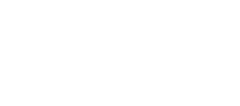 logo_footer_2born